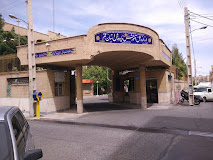 هرزگرد 206